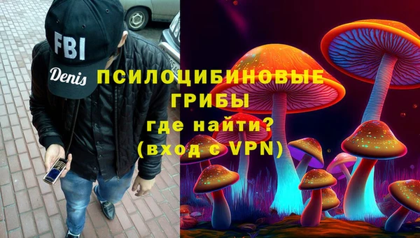 марки lsd Богородицк