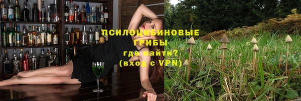 марки lsd Богородицк