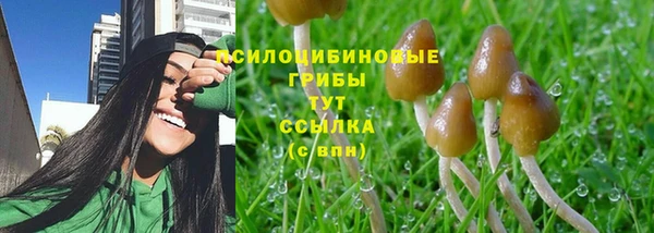 марки lsd Богородицк