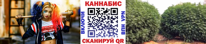Бошки марихуана SATIVA & INDICA Нариманов